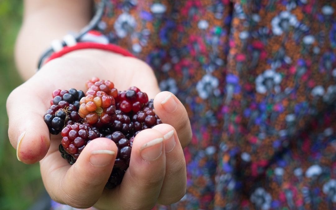 berris in hand