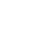 Asset 1 logo