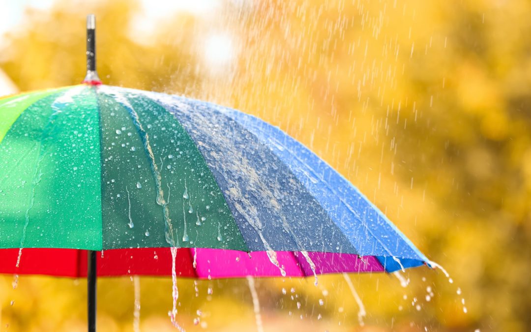 Okay it’s raining, what can I do with the kids?